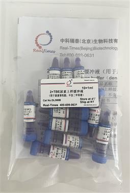 2×TBE尿素上樣緩沖液（用于尿素變性膠，不含二甲苯菁）