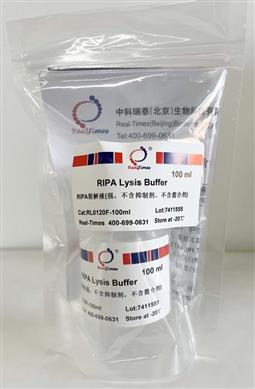 RIPA裂解液(強，不含抑制劑，不含螯合劑)