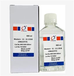 Western一抗二抗去除液（弱堿，溫和型）